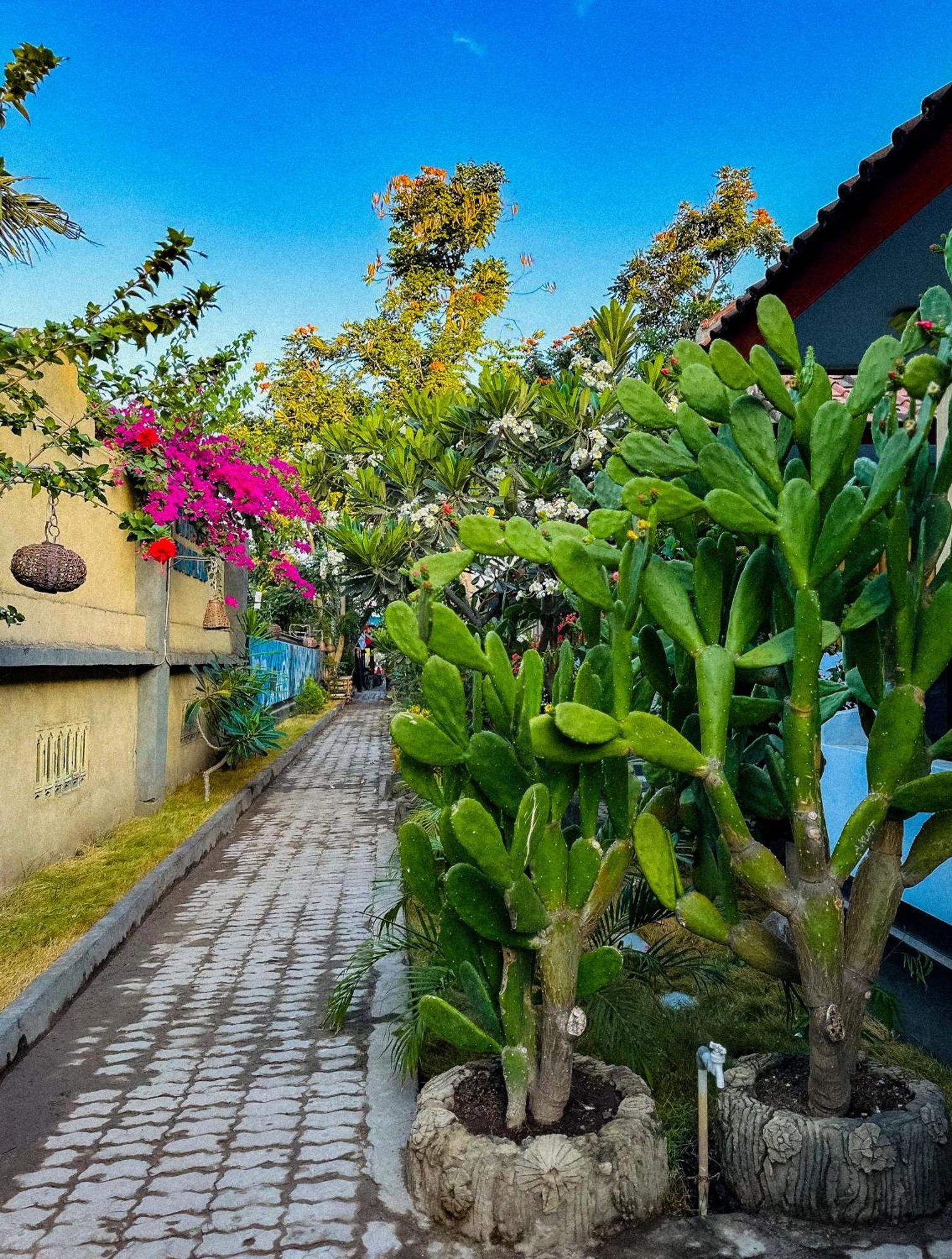 גילי טרוונגן Creative Bungalow Beach Front מראה חיצוני תמונה