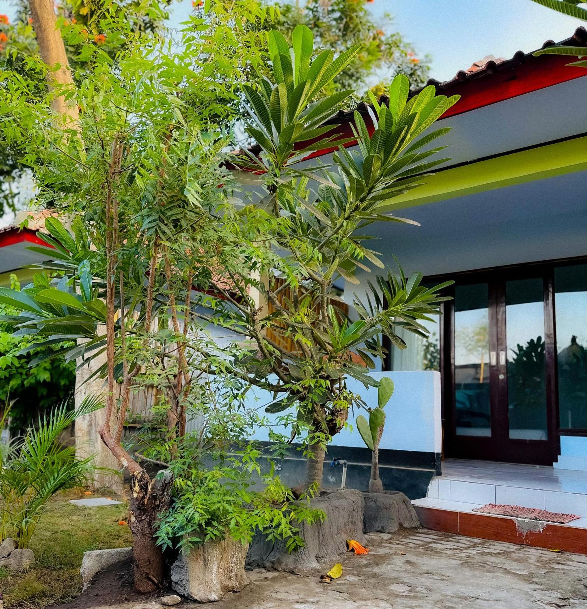 גילי טרוונגן Creative Bungalow Beach Front מראה חיצוני תמונה